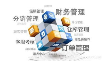 零編程經驗，也能打造企業級管理軟件？——新時代下的企業軟件開發新路徑