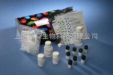 人環(huán)磷酸鳥苷(cGMP)ELISA試劑盒 詳細指導與可靠售后